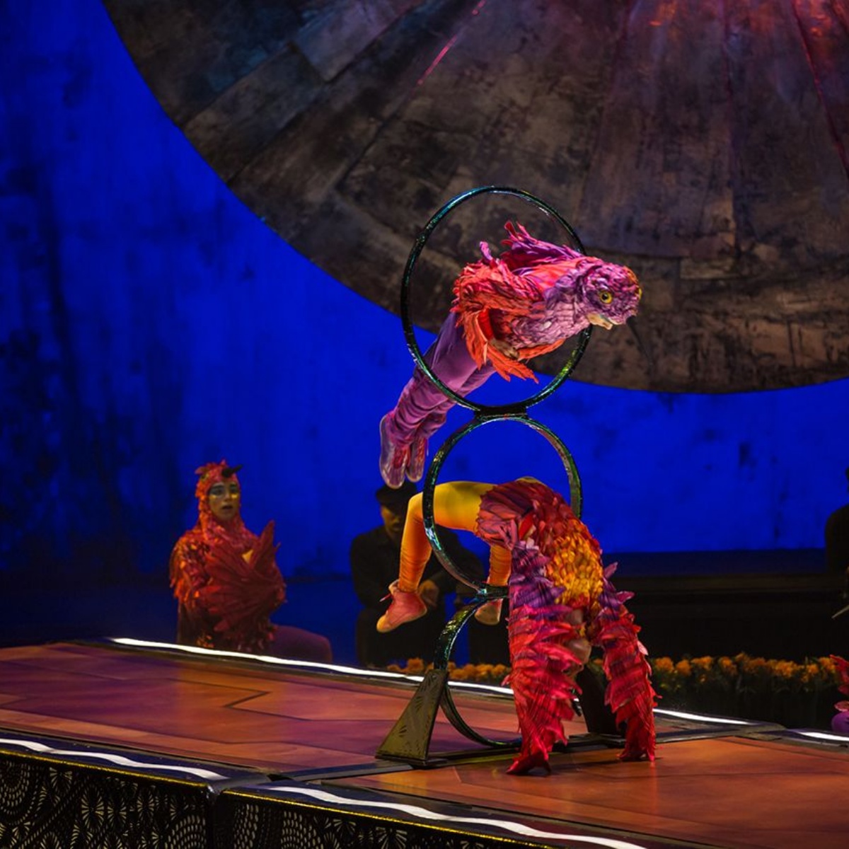 цирк какое шоу